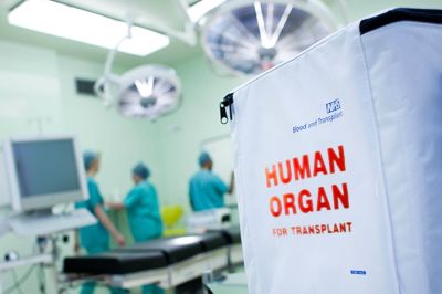 В Великобритании разработали продукт на основе ИИ для оценки качества донорских органов